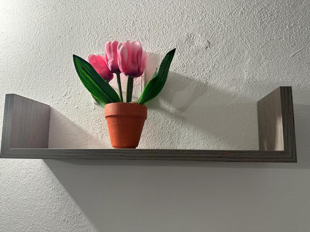 Papireto'S Home باليرمو المظهر الخارجي الصورة